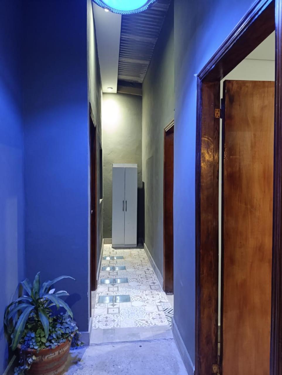 Taguato Daire Asuncion Dış mekan fotoğraf