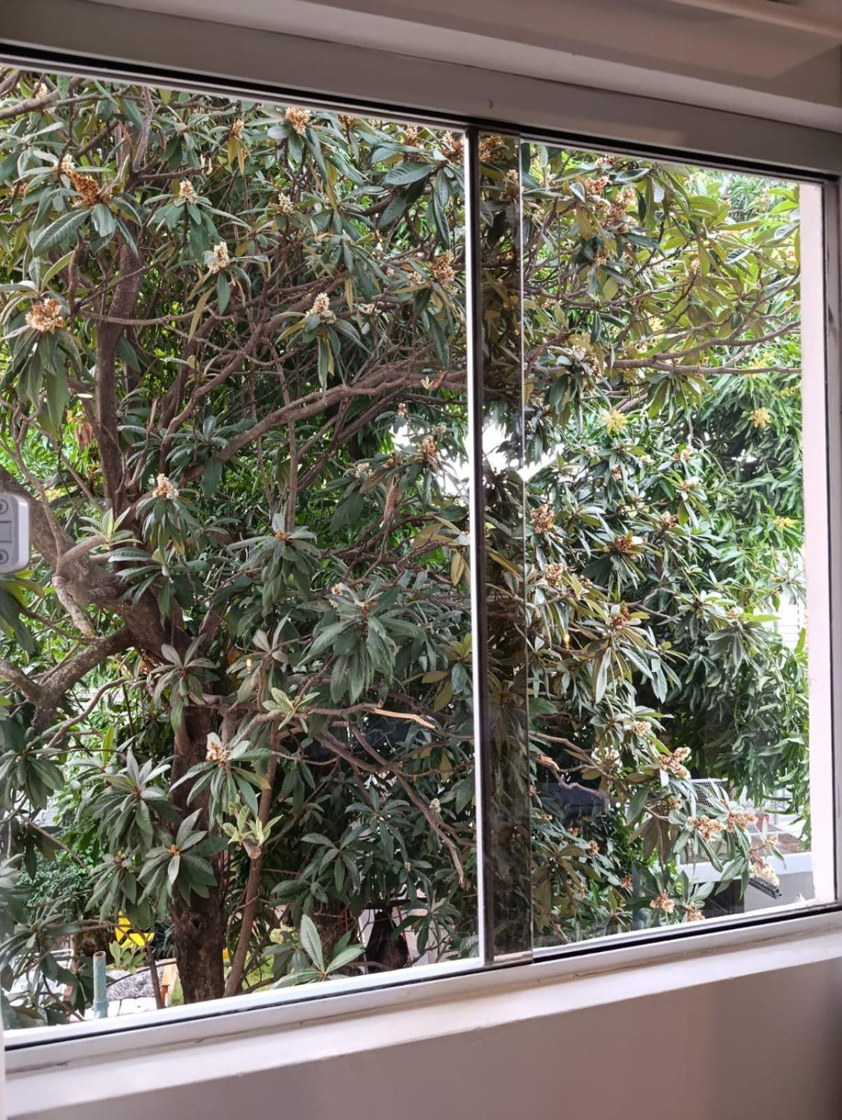 Taguato Daire Asuncion Dış mekan fotoğraf